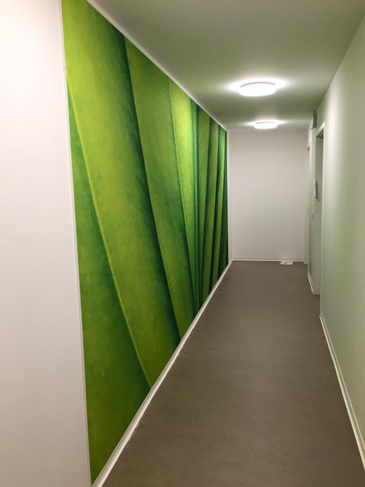 Renovierung