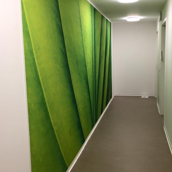 Renovierung